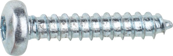 Blechschraube Linsenkopf DIN/EN/ ISO 14585 mit Torx, verzinkt ø 5,5x19 mm, VPE = 1000 Stück