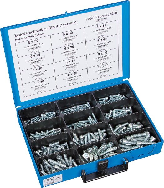 Sortimentskoffer Innensechskant- schrauben DIN 912 verzinkt 240-teilig im Blechkasten