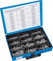 Sortimentskoffer Blindnieten Alu/Stahl 550-teilig im...