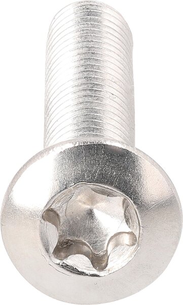 Linsensenkschrauben mit TX ISO 14584  A2 M 5X45  VPE: 200