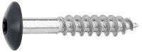 Fassadenschrauben für HPL-Platten A4, 5,5 x 35, RAL...
