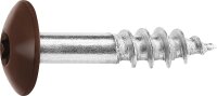 Fassadenschrauben für HPL-Platten A4, 5,5 x 25, RAL...