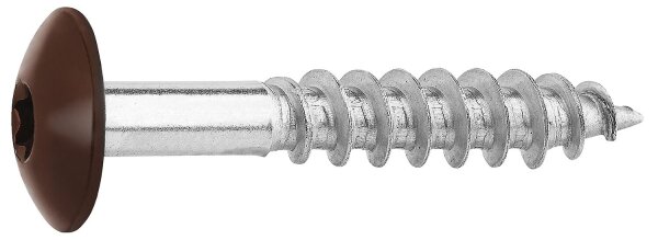 Fassadenschrauben für HPL-Platten A4, 5,5 x 35, RAL 8014 Sepiabraun, VPE: 100