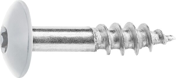 Fassadenschrauben für HPL-Platten A4, 5,5 x 25, RAL 7035 Lichtgrau, VPE: 100