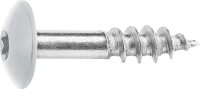 Fassadenschrauben für HPL-Platten A4, 5,5 x 25, RAL...
