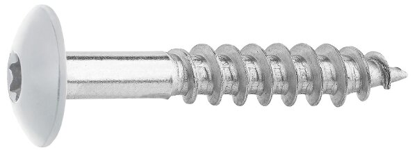 Fassadenschrauben für HPL-Platten A4, 5,5 x 35, RAL 7035 Lichtgrau, VPE: 100