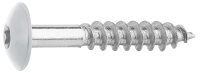 Fassadenschrauben für HPL-Platten A4, 5,5 x 35, RAL...