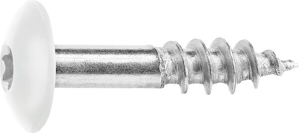 Fassadenschrauben für HPL-Platten A4, 5,5 x 25, RAL 9010 Reinweiß, VPE: 100