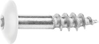 Fassadenschrauben für HPL-Platten A4, 5,5 x 25, RAL...