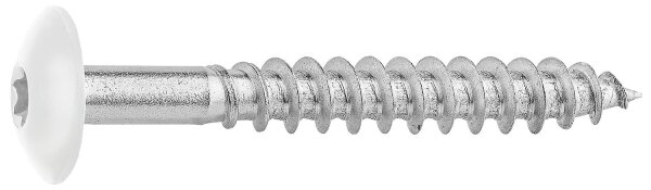 Fassadenschrauben für HPL-Platten A4, 5,5 x 45, RAL 9010 Reinweiß, VPE: 100