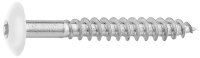 Fassadenschrauben für HPL-Platten A4, 5,5 x 45, RAL...
