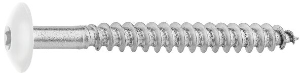 Fassadenschrauben für HPL-Platten A4, 5,5 x 55, RAL 9010 Reinweiß, VPE: 100