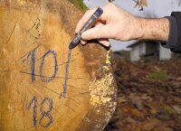 Förster-Signierkreide Gelb 59044 VPE=12 Stück