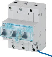 Leitungsschutzschalter Hager 3P, 50A, Hutsch. HTN350E