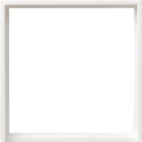 Adapterrahmen 50 x 50 GIRA System 55...