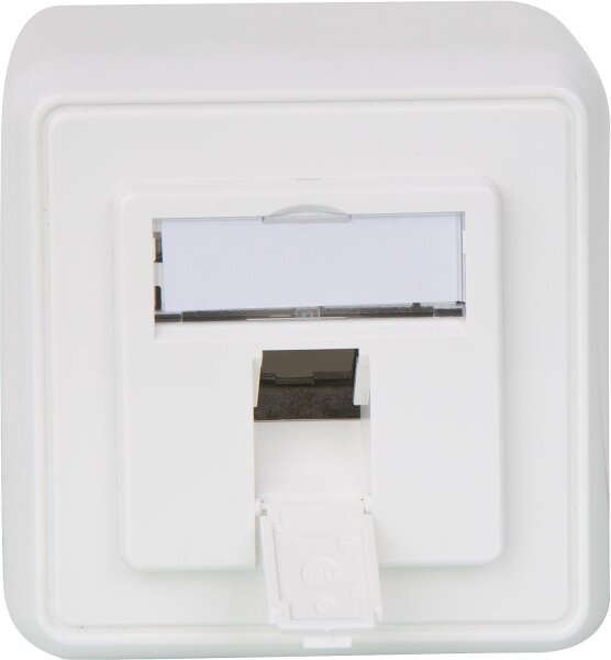Modul-Aufnahme 80x80, 1-fach AP, alpinweiß 1 Stück