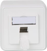 Modul-Aufnahme 80x80, 1-fach AP, alpinweiß 1...