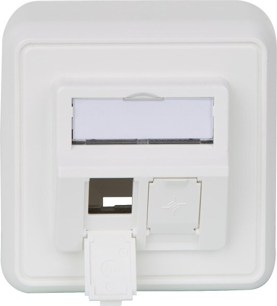 Modul-Aufnahme 80x80, aufbauend, 2-fach AP alpinweiß, 1 Stück