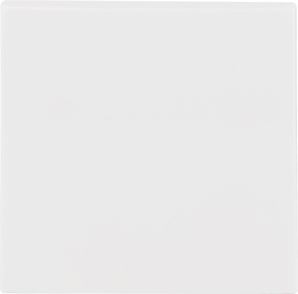 Wippe Berker 16208989, S.1 polarweiß, glänzend, 1 Stück