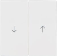 Wippen Berker 16258989 mit Aufdruck "Pfeil"...