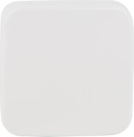 Wippe Busch-Jäger Neutral SI 2506-214...