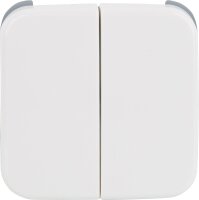 Wippe Busch-Jäger 2-fach SI 2505-214...