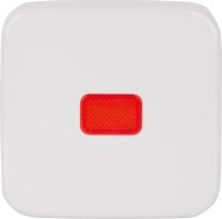 Wippe Busch-Jäger Kontroll SI 2509-214...