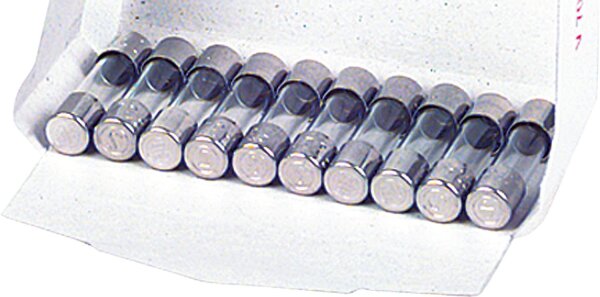 Feinsicherung träge  0,630 A (5x20mm)     10 Stück